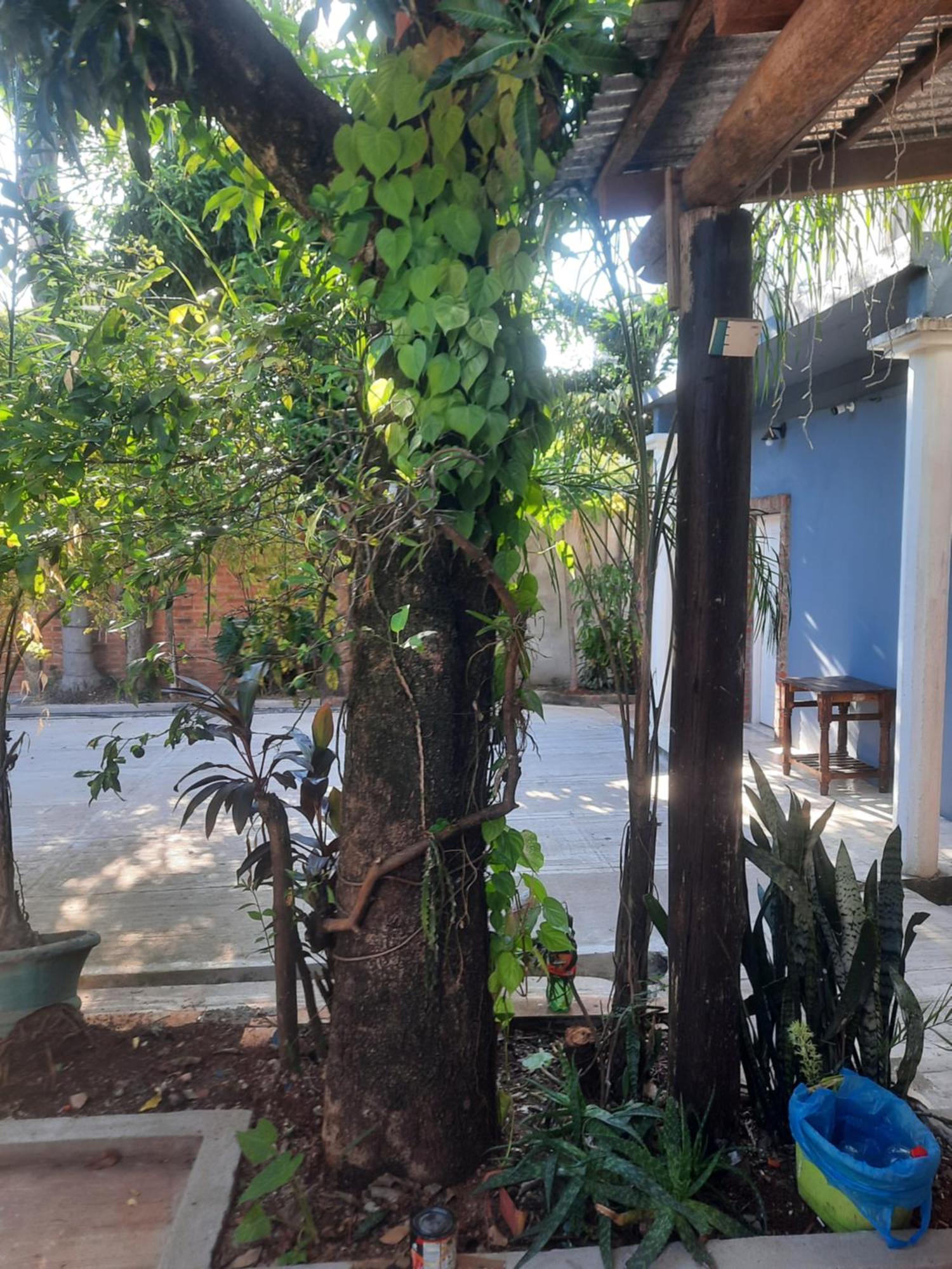 La Posada De Dante Puerto Iguazu Luaran gambar