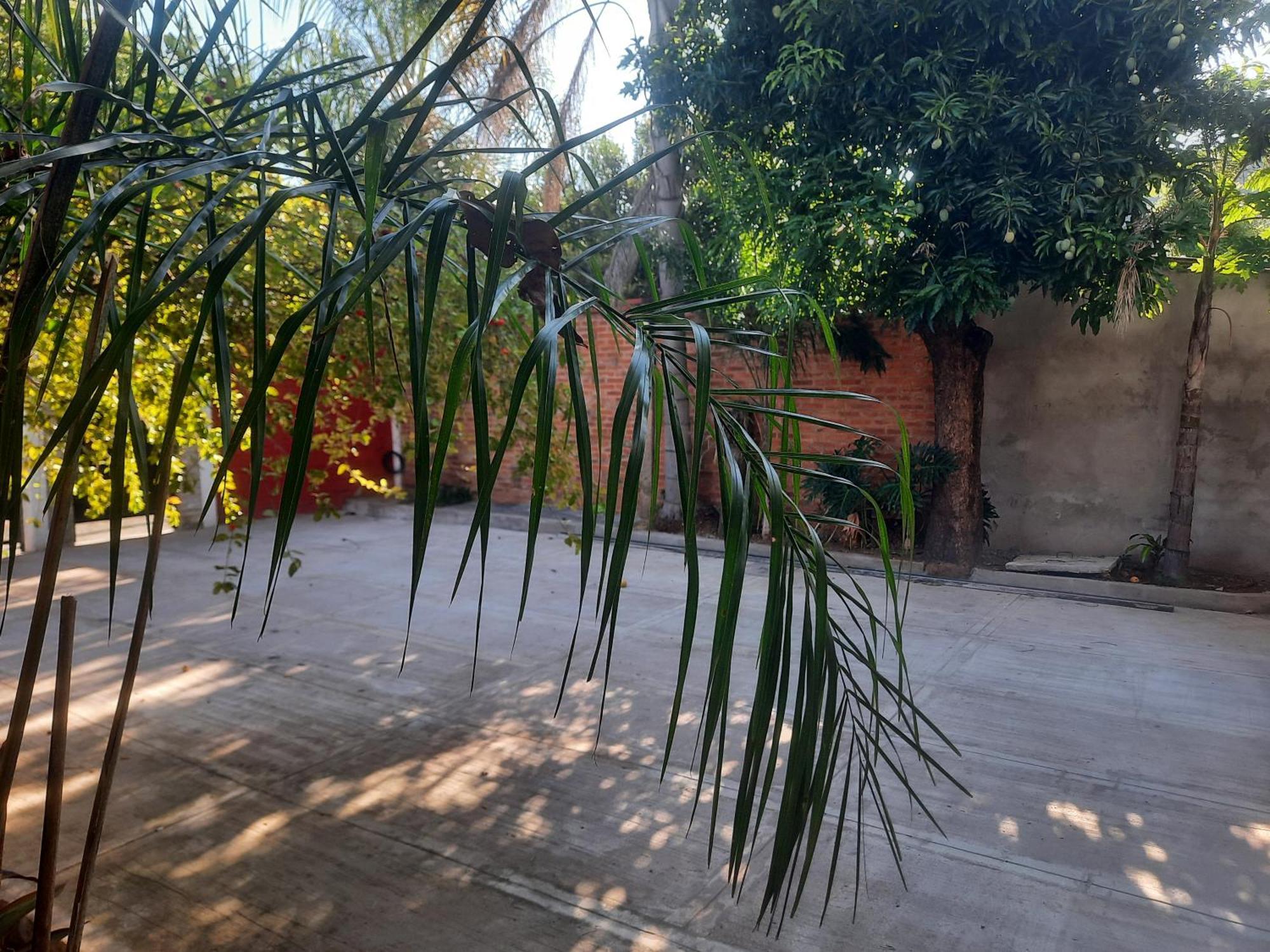 La Posada De Dante Puerto Iguazu Luaran gambar